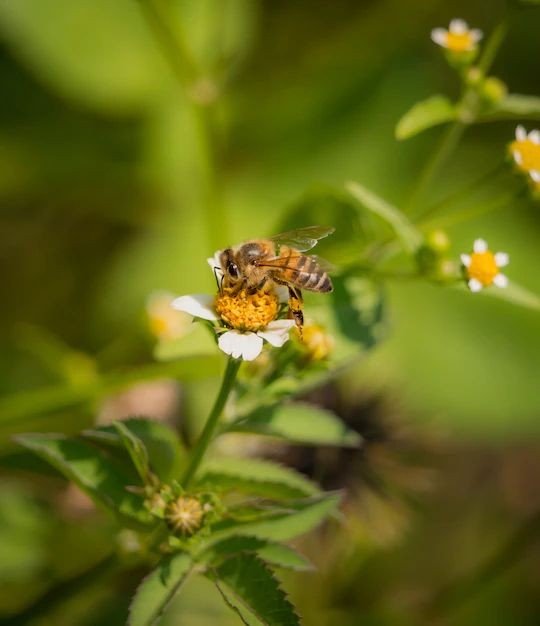 Are Bees Deadlier Than Snakes and Dogs? Shocking Stats